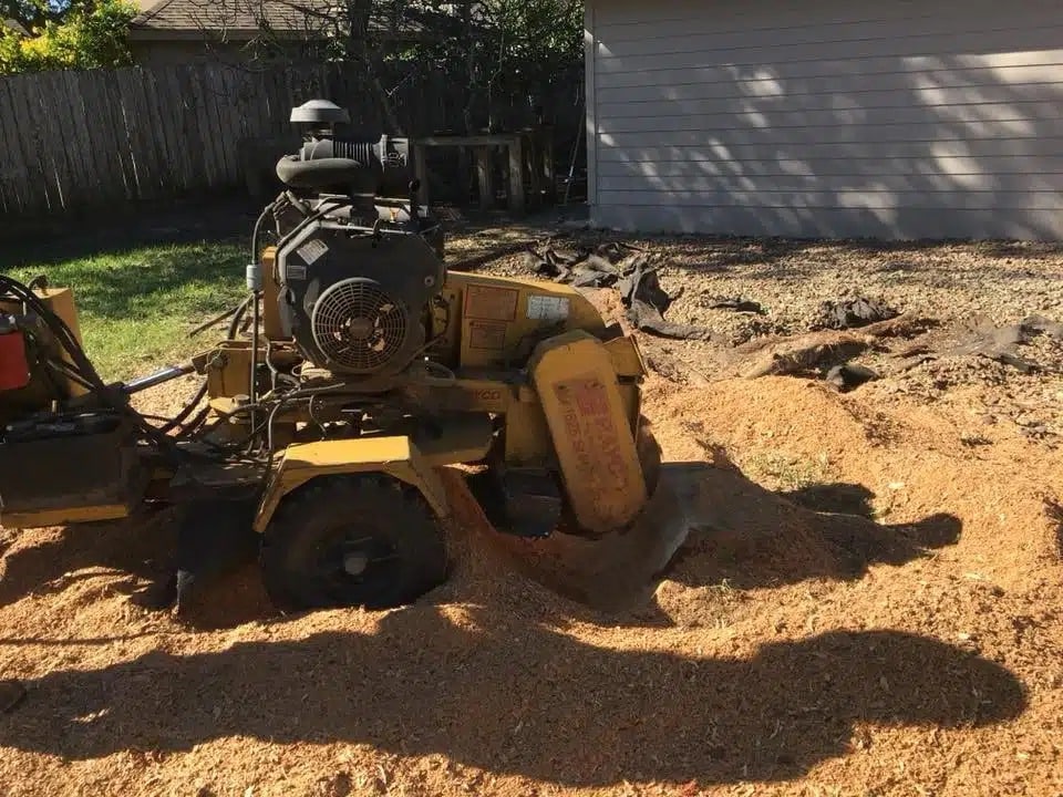 Get Our Fast Stump Removal Service
