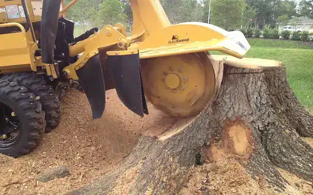 Get our Prompt Stump Grinding Service!