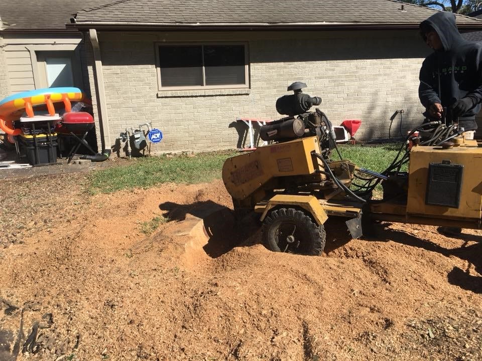Worker with a Grinder Performing Stump Removal Service in Houston, TX